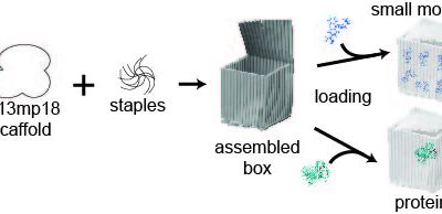 First preprint on DNA origami
