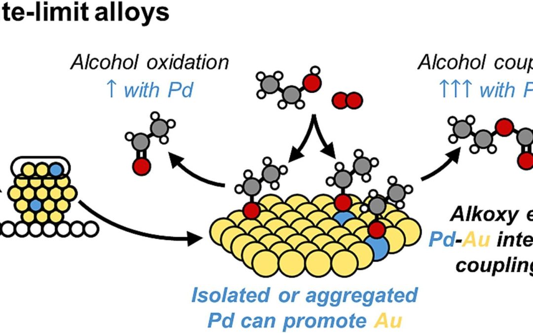 41. Understanding the Promotional Role of Pd in Oxidative Alcohol Coupling Reactions over Dilute PdAu Alloys